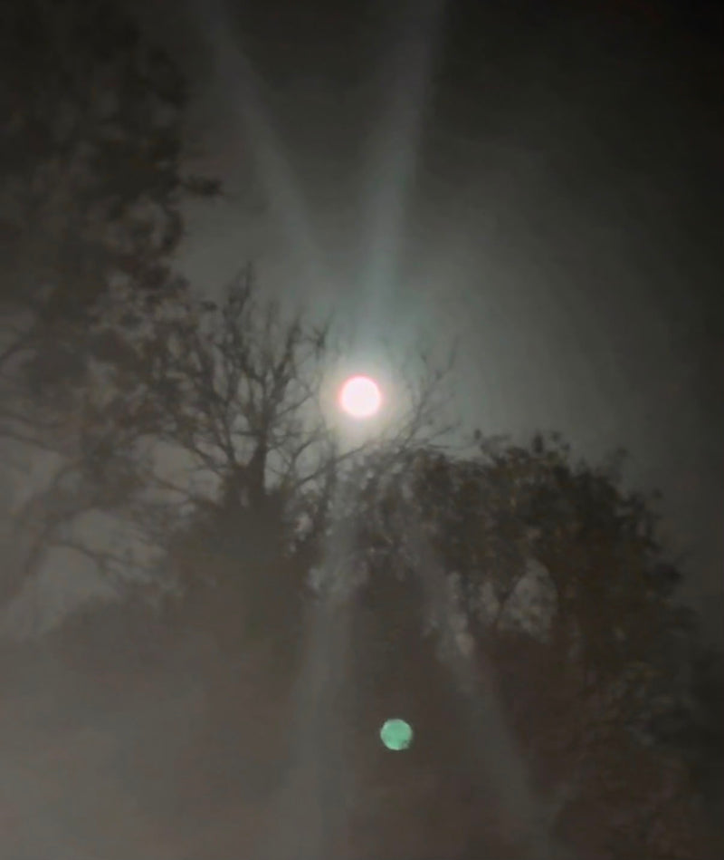 How to Begin Living by the Moon: A Beginner's Guide to Lunar Rituals