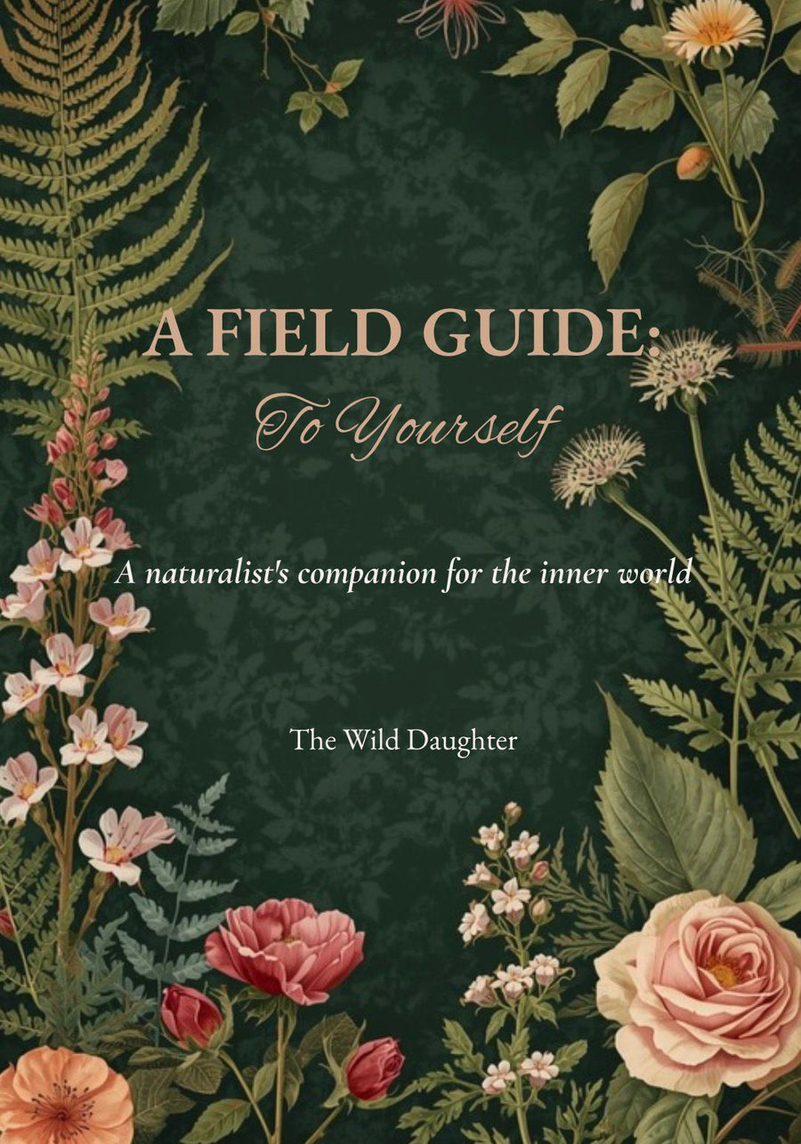 A Field Guide to Yourself — A Self-Discovery Workbook PDF